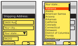 A typical select, or “pulldown” element, along side other form elements. When selected, a Pop-up scrolling list appears, from which one item can be selected.