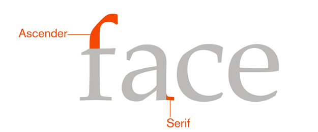 Parts of type, the ascender and serif